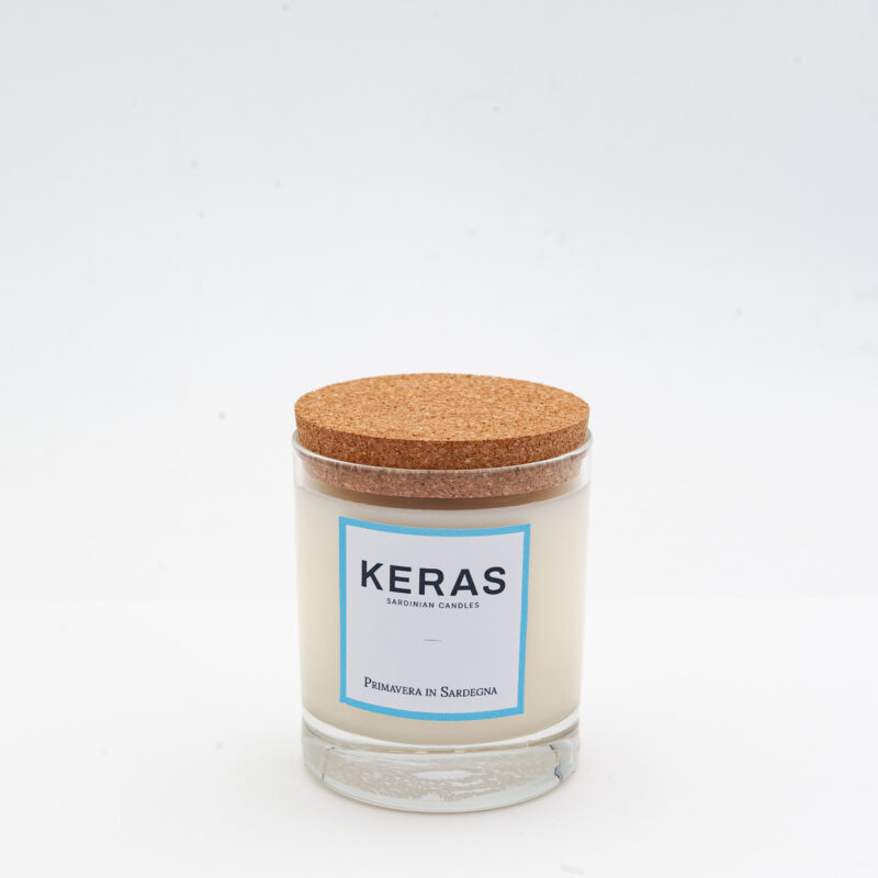 Candele di soia